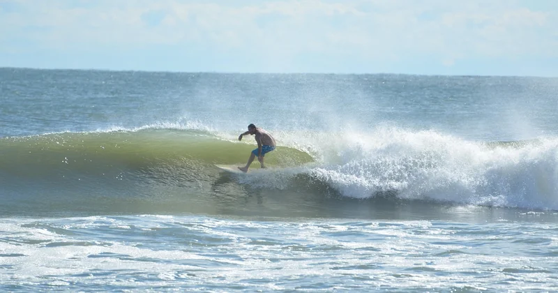 L'adaptation des surfeurs professionnels aux contraintes de l'entraînement