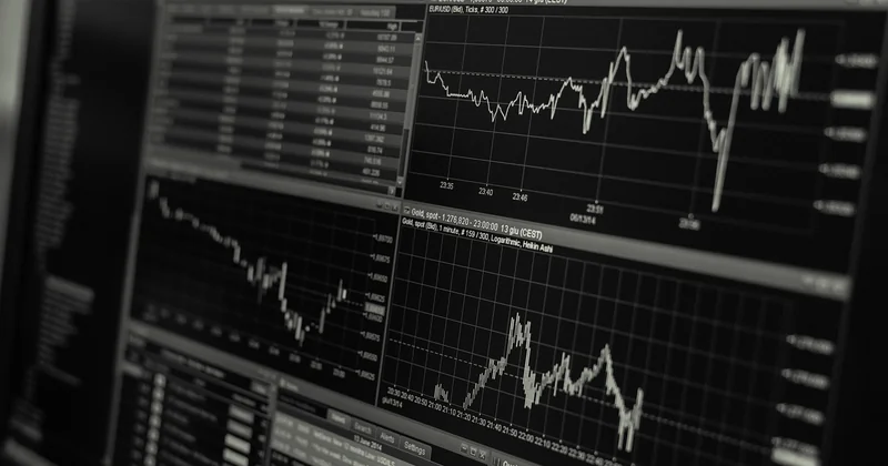 La gestion des stocks : saisonnalité, rotation et choix des fournisseurs